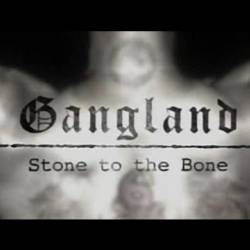  :       / Gangland: Stone to the Bone (2007) SATRip