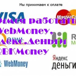  .-   WebMoney, .  RBKMoney (2013) DVDRip