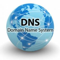  : DNS (2014)