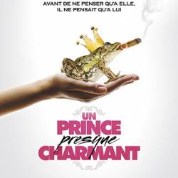 ()  / Un prince (presque) charmant (2013) DVDRip-AVC