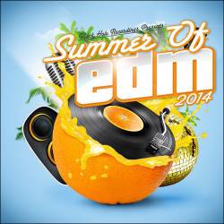 Black Hole Recordings presents Summer of EDM (2014)