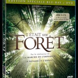    / Once in the Forest / Il &#233;tait une for&#234;t (2013)  BDRip 720p