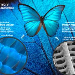.  .   / Biomimicry. Inspired by Nature (2011) SATRip