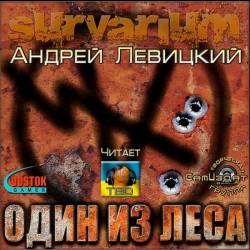   -    (Survarium) () M4B