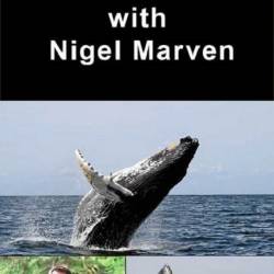       / Whale Adventure with Nigel Marven (2013/HDTV 720) - 2