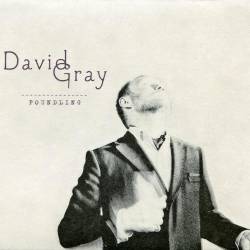 David Gray - Foundling (2010)