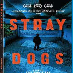   / Jiao you / Stray Dogs (2013/HDRip)