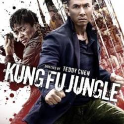    / Kung Fu Jungle (2014)  BDRip     !