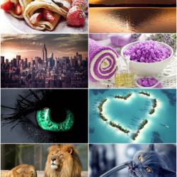 320 Beautiful wallpapers on various topics (#50)