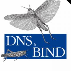 DNS  BIND (5- )(2008)