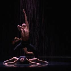    -   ,   /Stephan Thoss: La Chambre Noire, Le Sacre du Printemps - Opera National du Rhin Ballet/ (    - 2015) HDTVRip