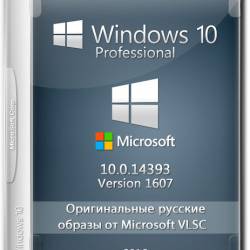 Windows 10 Professional 10.0.14393 Version 1607 -    Microsoft VLSC (RUS)