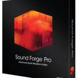 MAGIX Sound Forge Pro 11.0 Build 338