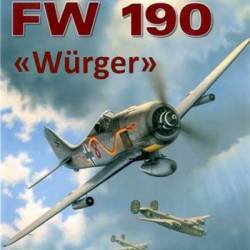  - FW 190 / The Focke-Wulf FW 190 (1999) DVDRip