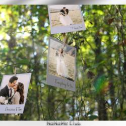  - VideoHive - Photo Memories on Trees [AEP]