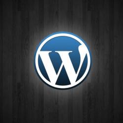 WordPress     +  (2019) 