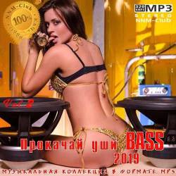   BASS 2019 vol. 2 (2019)