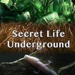    / Secret Life Underground (2015) HDTV 1080i