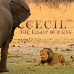 :   / Cecil: The Legacy of a King (2020) WEBRip 1080p