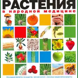 ������������� �.�. - ������� ������������. ������������� �������� � �������� �������� (2005) PDF