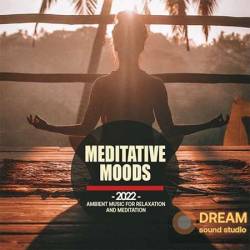 Meditative Moods (2022) MP3