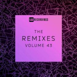 The Remixes Vol. 43 (2023) - House