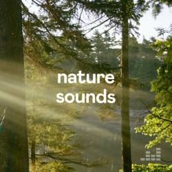 Nature Sounds (2023) - Electro