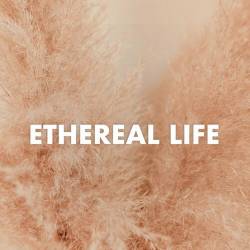 Etheral Life (2023) - Alternative