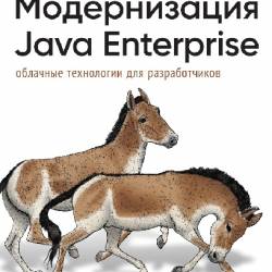  Java Enterprise:    