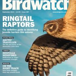 Birdwatch UK - September 2024