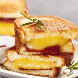 75 Best Sandwich Maker Recipes Cooking Class