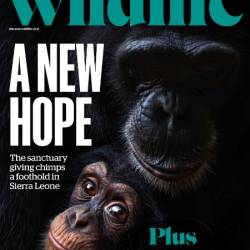 BBC Wildlife - October 2024