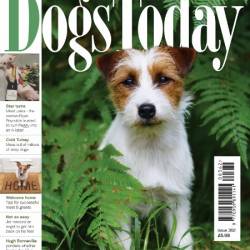 Dogs Today UK - Issue 362 2024