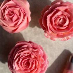 Create Buttercream Roses From Beginner To Intermediate