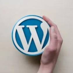 Mastering Wordpress Theme Development.