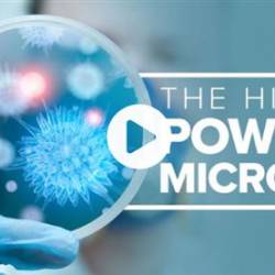 TTC - The Hidden Power of Microbes