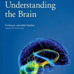 TTC Video - Understanding The Brain