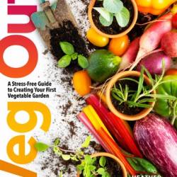 Veg Out: A Stress-Free Guide to Creating Your First Vegetable Garden