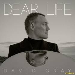 David GRay - Dear Life (2025)