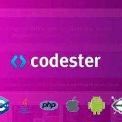 How To Sell Apps: Complete Success Guide For Codester