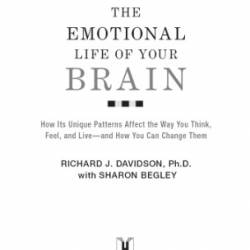 The Emotional Life of Your Brain: How Its Unique Patterns Affect the Way You Think, Feel, and Live--and How You Ca n Change Them - Richard J. Davidson