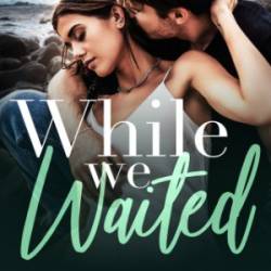 While We Waited: a grumpy/sunshine, surprise pregnancy, small town rom com - D.E. Haggerty