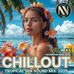 Chillout Tropical SPA Sound Mix Vol. 03 (2025)