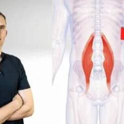 The Psoas Fix: Unlock Pain-Free Movement