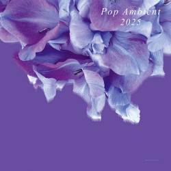 Pop Ambient 2025 (2024) FLAC - Electronic, Ambient