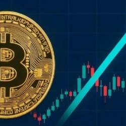 Crypto Investing 2025: How to Profit From The Next Bull Run