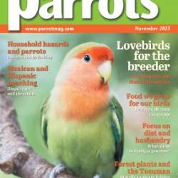 Parrots Magazine - November 2025