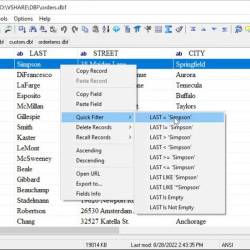 DBF Viewer 2000 v8.89.1 Multilingual