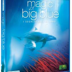   .   / Magic of Big Blue South America (2011) 3D (HSBS) / BDRip (1080p)