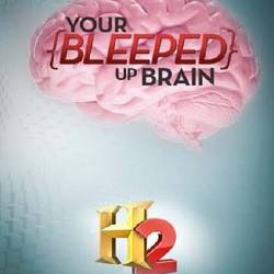    / Your Bleeped Up Brain (2013) SATRip